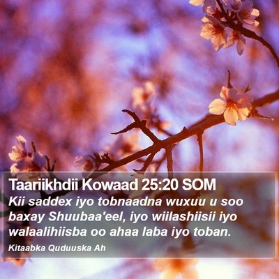 Taariikhdii Kowaad 25:20 SOM Bible Verse Image