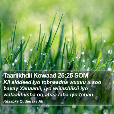 Taariikhdii Kowaad 25:25 SOM Bible Verse Image
