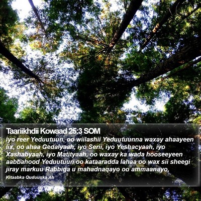 Taariikhdii Kowaad 25:3 SOM Bible Verse Image
