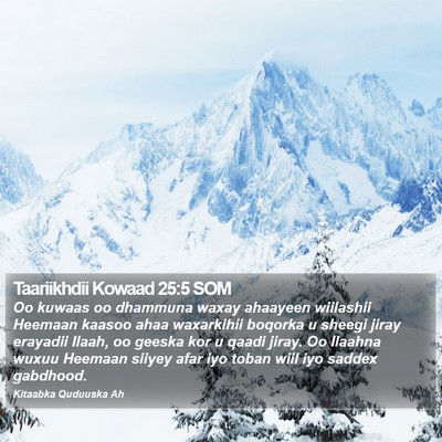 Taariikhdii Kowaad 25:5 SOM Bible Verse Image