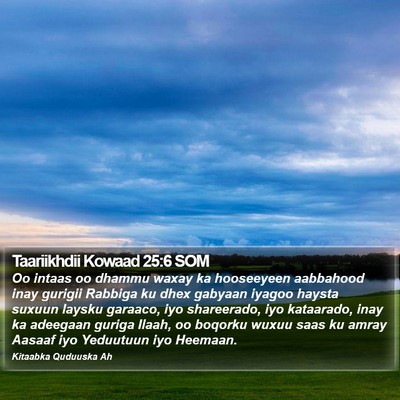 Taariikhdii Kowaad 25:6 SOM Bible Verse Image