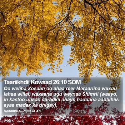 Taariikhdii Kowaad 26:10 SOM Bible Verse Image