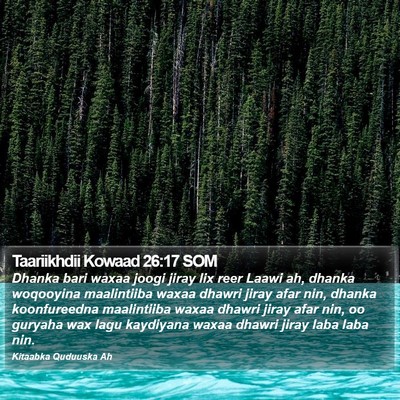 Taariikhdii Kowaad 26:17 SOM Bible Verse Image
