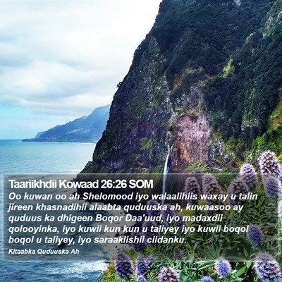 Taariikhdii Kowaad 26:26 SOM Bible Verse Image