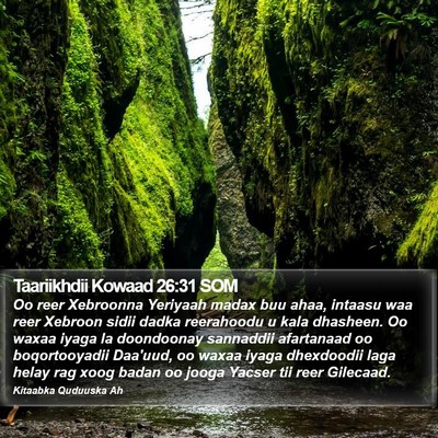 Taariikhdii Kowaad 26:31 SOM Bible Verse Image