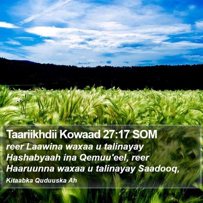 Taariikhdii Kowaad 27:17 SOM Bible Verse Image