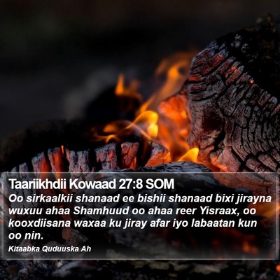 Taariikhdii Kowaad 27:8 SOM Bible Verse Image