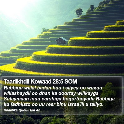Taariikhdii Kowaad 28:5 SOM Bible Verse Image