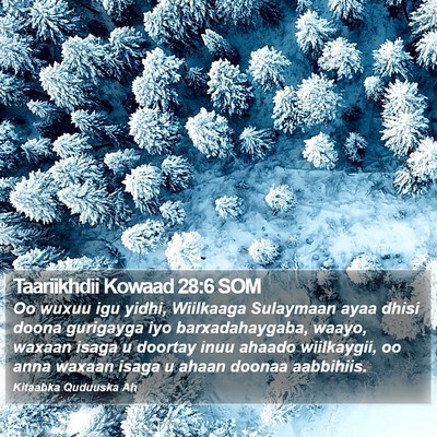 Taariikhdii Kowaad 28:6 SOM Bible Verse Image