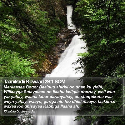 Taariikhdii Kowaad 29:1 SOM Bible Verse Image