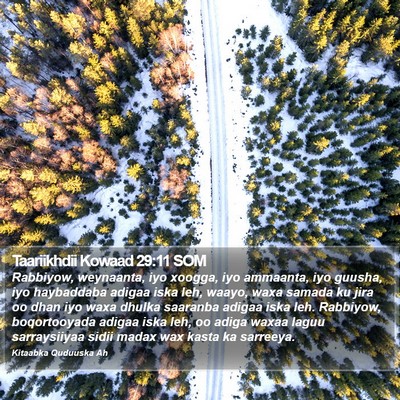 Taariikhdii Kowaad 29:11 SOM Bible Verse Image