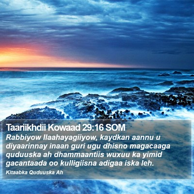 Taariikhdii Kowaad 29:16 SOM Bible Verse Image