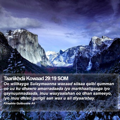 Taariikhdii Kowaad 29:19 SOM Bible Verse Image