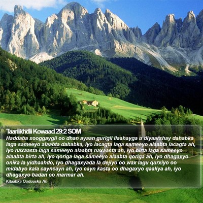 Taariikhdii Kowaad 29:2 SOM Bible Verse Image