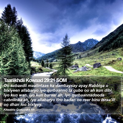 Taariikhdii Kowaad 29:21 SOM Bible Verse Image