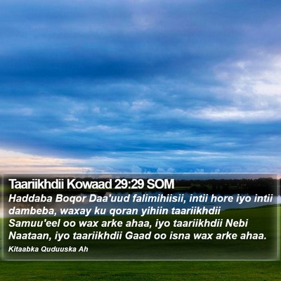 Taariikhdii Kowaad 29:29 SOM Bible Verse Image