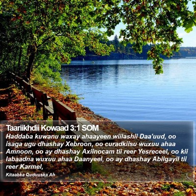 Taariikhdii Kowaad 3:1 SOM Bible Verse Image