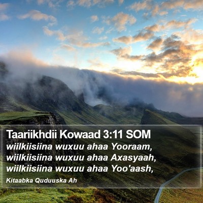 Taariikhdii Kowaad 3:11 SOM Bible Verse Image