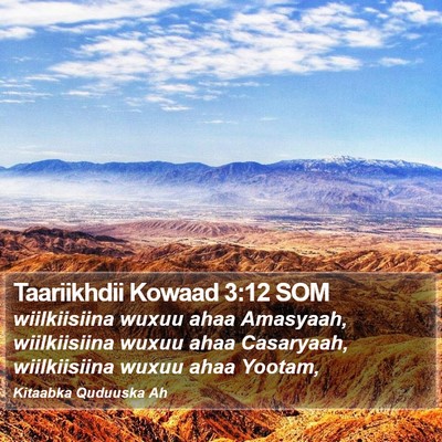 Taariikhdii Kowaad 3:12 SOM Bible Verse Image