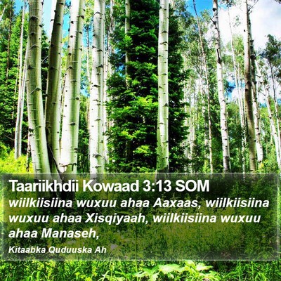 Taariikhdii Kowaad 3:13 SOM Bible Verse Image
