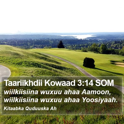 Taariikhdii Kowaad 3:14 SOM Bible Verse Image