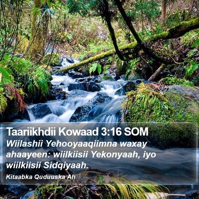 Taariikhdii Kowaad 3:16 SOM Bible Verse Image