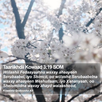 Taariikhdii Kowaad 3:19 SOM Bible Verse Image