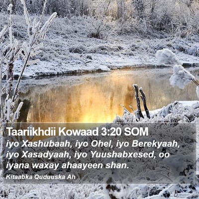 Taariikhdii Kowaad 3:20 SOM Bible Verse Image