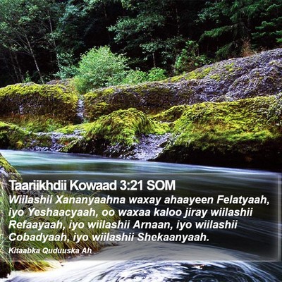 Taariikhdii Kowaad 3:21 SOM Bible Verse Image