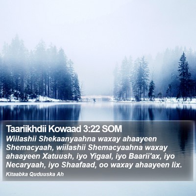 Taariikhdii Kowaad 3:22 SOM Bible Verse Image