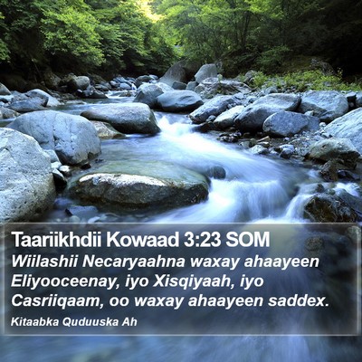 Taariikhdii Kowaad 3:23 SOM Bible Verse Image