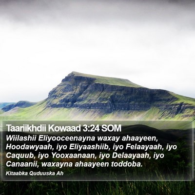 Taariikhdii Kowaad 3:24 SOM Bible Verse Image