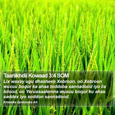 Taariikhdii Kowaad 3:4 SOM Bible Verse Image
