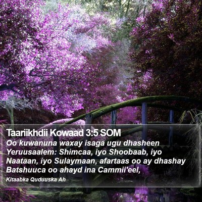 Taariikhdii Kowaad 3:5 SOM Bible Verse Image