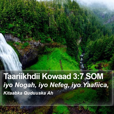 Taariikhdii Kowaad 3:7 SOM Bible Verse Image