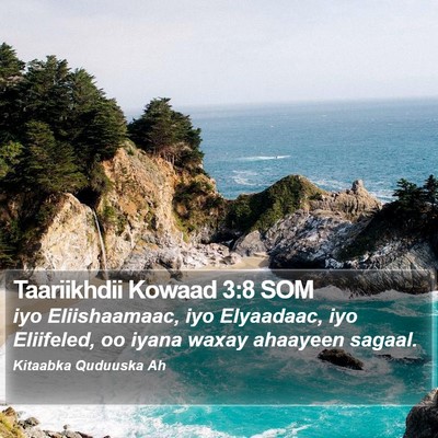 Taariikhdii Kowaad 3:8 SOM Bible Verse Image