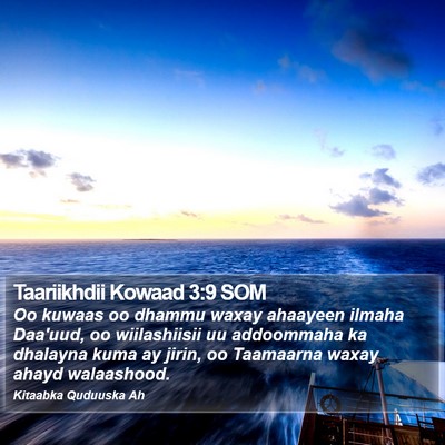 Taariikhdii Kowaad 3:9 SOM Bible Verse Image