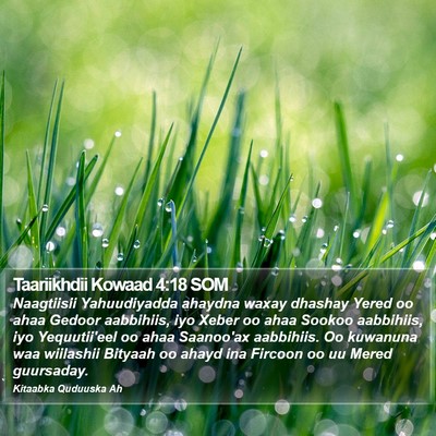 Taariikhdii Kowaad 4:18 SOM Bible Verse Image