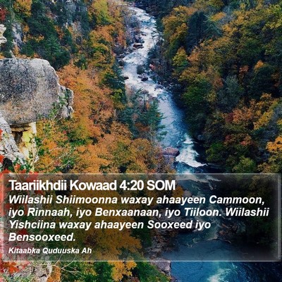 Taariikhdii Kowaad 4:20 SOM Bible Verse Image