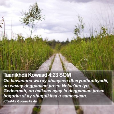 Taariikhdii Kowaad 4:23 SOM Bible Verse Image