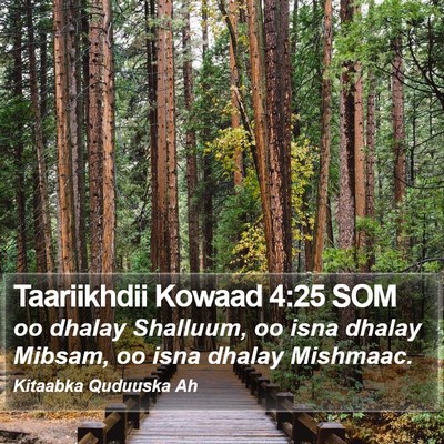 Taariikhdii Kowaad 4:25 SOM Bible Verse Image