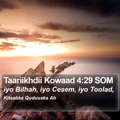 Taariikhdii Kowaad 4:29 SOM Bible Verse Image