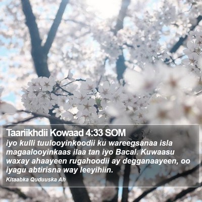 Taariikhdii Kowaad 4:33 SOM Bible Verse Image