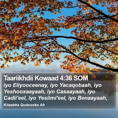 Taariikhdii Kowaad 4:36 SOM Bible Verse Image