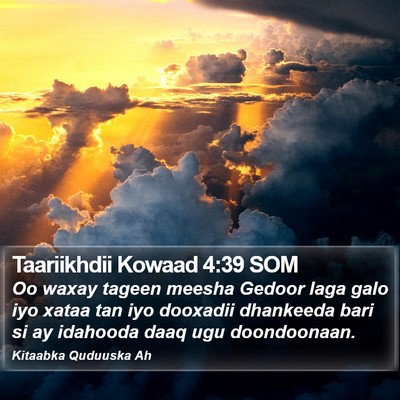 Taariikhdii Kowaad 4:39 SOM Bible Verse Image