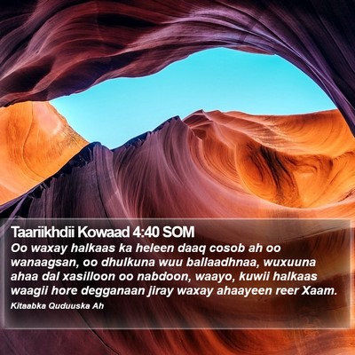 Taariikhdii Kowaad 4:40 SOM Bible Verse Image