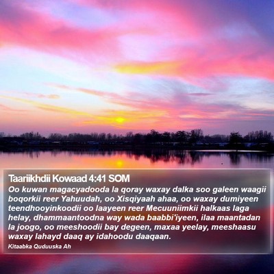 Taariikhdii Kowaad 4:41 SOM Bible Verse Image