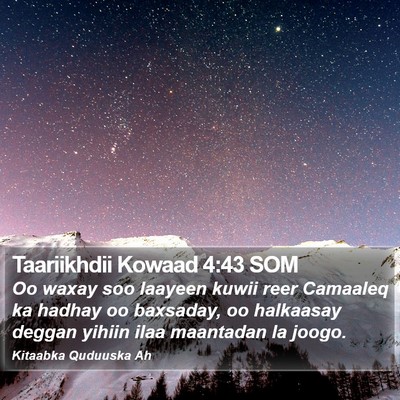 Taariikhdii Kowaad 4:43 SOM Bible Verse Image