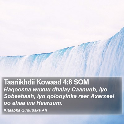 Taariikhdii Kowaad 4:8 SOM Bible Verse Image
