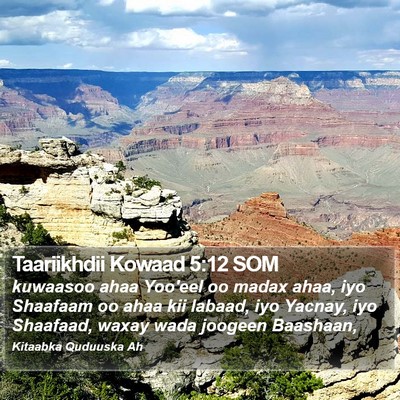 Taariikhdii Kowaad 5:12 SOM Bible Verse Image